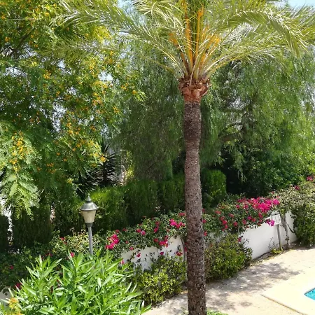 101 Oasis Beach 40 Apartment Denia