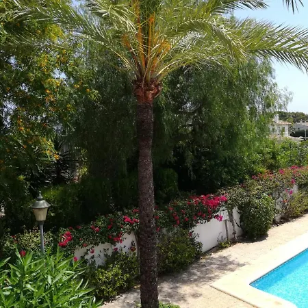 101 Oasis Beach 40